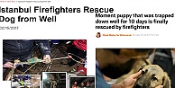Dünya Basınından Kuyu Köpeğin Kurtarılma Operasyanuna Büyük İlgi