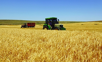 Kırsal Kalkınma Yatırımlarının Desteklenmesi Programı 12. Etap Tarıma Dayalı Ekonomik Yatırımlar