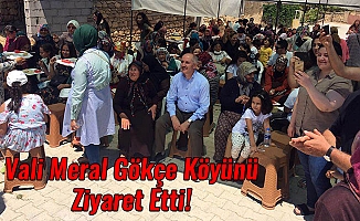 Vali Meral Gökçe Köyünü Ziyaret Etti