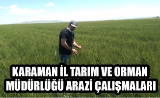 KARAMAN İL TARIM VE ORMAN MÜDÜRLÜĞÜ ARAZİ ÇALIŞMALARI