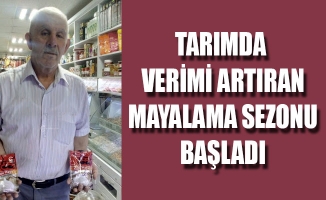 TARIMDA VERİMİ ARTIRAN MAYALAMA SEZONU BAŞLADI